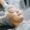 Sculptra Injectable Trainings in Virginia